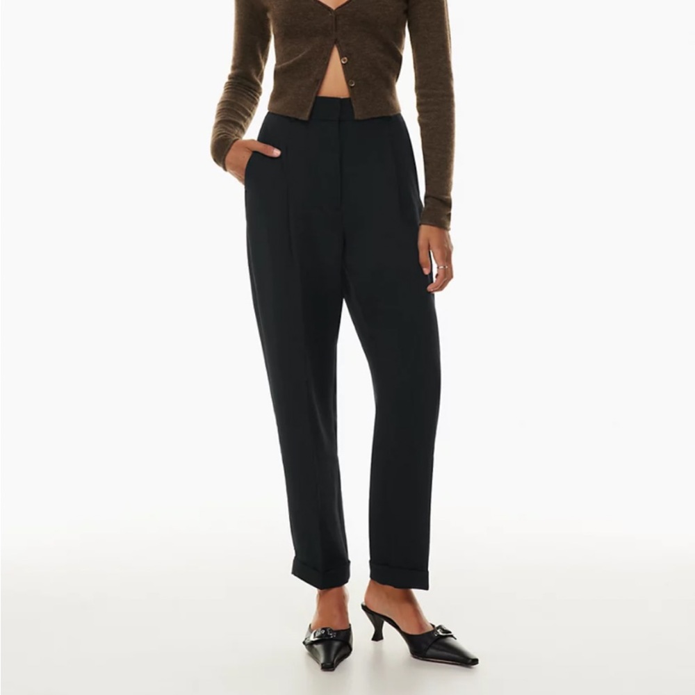 Aritzia Wilfred Dashwood Pant Size 00